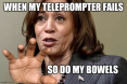 Ugly Kamala1