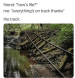 the track