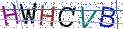 Type the letters shown in the picture