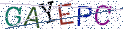 Type the letters shown in the picture