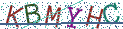 Type the letters shown in the picture