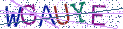 Type the letters shown in the picture