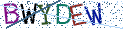 Type the letters shown in the picture