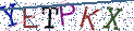 Type the letters shown in the picture