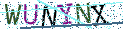 Type the letters shown in the picture