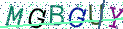 Type the letters shown in the picture