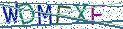Type the letters shown in the picture