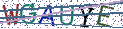 Type the letters shown in the picture