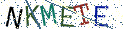 Type the letters shown in the picture