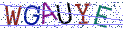 Type the letters shown in the picture