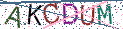 Type the letters shown in the picture