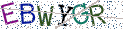 Type the letters shown in the picture