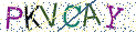 Type the letters shown in the picture