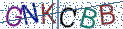 Type the letters shown in the picture
