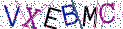 Type the letters shown in the picture