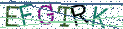 Type the letters shown in the picture