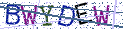 Type the letters shown in the picture