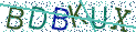 Type the letters shown in the picture