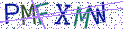 Type the letters shown in the picture