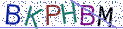 Type the letters shown in the picture