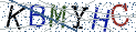 Type the letters shown in the picture