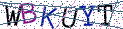 Type the letters shown in the picture