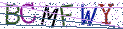 Type the letters shown in the picture