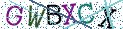 Type the letters shown in the picture