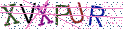 Type the letters shown in the picture