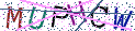 Type the letters shown in the picture
