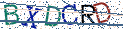 Type the letters shown in the picture