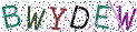 Type the letters shown in the picture
