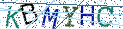 Type the letters shown in the picture