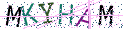 Type the letters shown in the picture