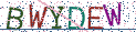Type the letters shown in the picture