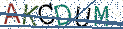 Type the letters shown in the picture