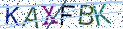 Type the letters shown in the picture
