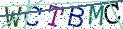 Type the letters shown in the picture