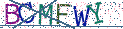 Type the letters shown in the picture
