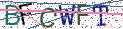 Type the letters shown in the picture