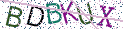 Type the letters shown in the picture
