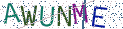 Type the letters shown in the picture