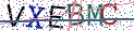 Type the letters shown in the picture