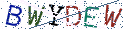 Type the letters shown in the picture