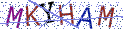 Type the letters shown in the picture
