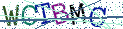 Type the letters shown in the picture