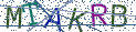 Type the letters shown in the picture