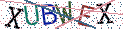 Type the letters shown in the picture