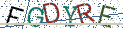 Type the letters shown in the picture