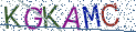 Type the letters shown in the picture